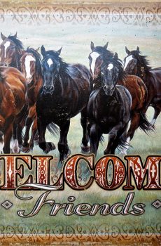 plaque métal CHEVAUX WELCOME FRIENDS cheval western