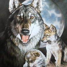 plaque métal vintage CHIEN LOUP