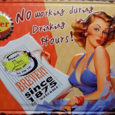 plaque métal vintage PIN UP BEER NO WORKING