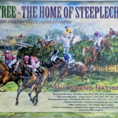 plaque métal vintage STEEPLECHASE