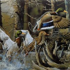 plaque métal vintage DUCKS UNLIMITED