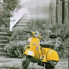 plaque métal vintage SCOOTER JAUNE