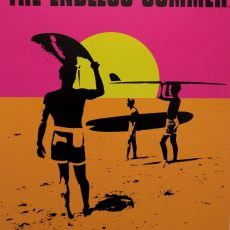 plaque métal vintage THE ENDLESS SUMMER