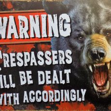 plaque métal vintage WARNING TRESPASSERS