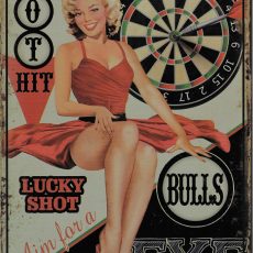 plaque métal vintage PIN UP BULLS EYE