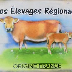 plaque métal vintage ELEVAGES REGIONAUX VACHE