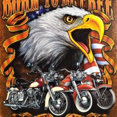 plaque métal vintage BORN TO BE FREE