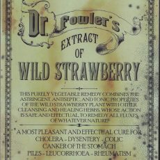 plaque métal vintage LASH'S BITTERS CO. DR.FOWLER'S