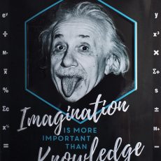 plaque métal vintage IMAGINATION KNOWLEDGE EINSTEIN