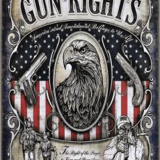 plaque métal vintage GUN RIGHTS