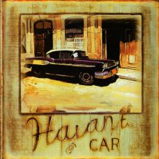 plaque métal vintage HAVANE CAR