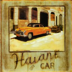 plaque métal vintage HAVANE CAR