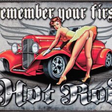 plaque métal vintage PIN UP REMEMBER HOT ROD