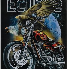 plaque métal vintage ROLLING THUNDER