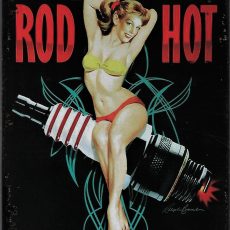 plaque métal vintage PIN UP GET YOUR ROD HOT