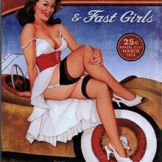 plaque métal vintage PIN UP MUSCLE CARS deco americaine usa
