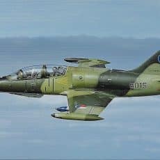 plaque métal vintage AVION L39 ALBATROS